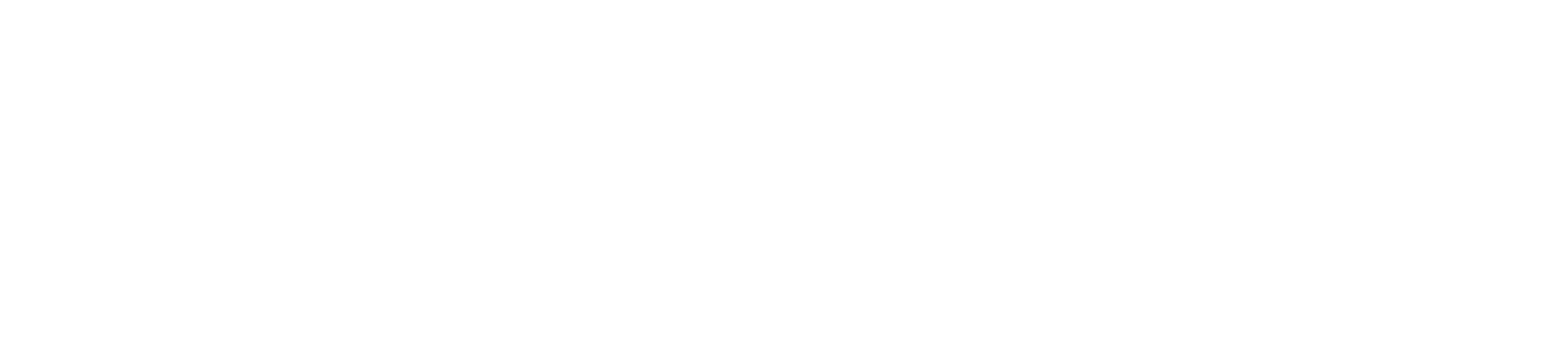 Asset 3zing